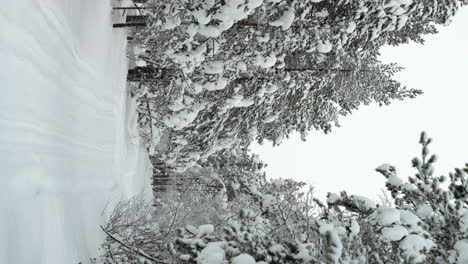 Vertical-Video-of-Snow-Covered-Trail-in-Lappish-Winter-Forest---Static