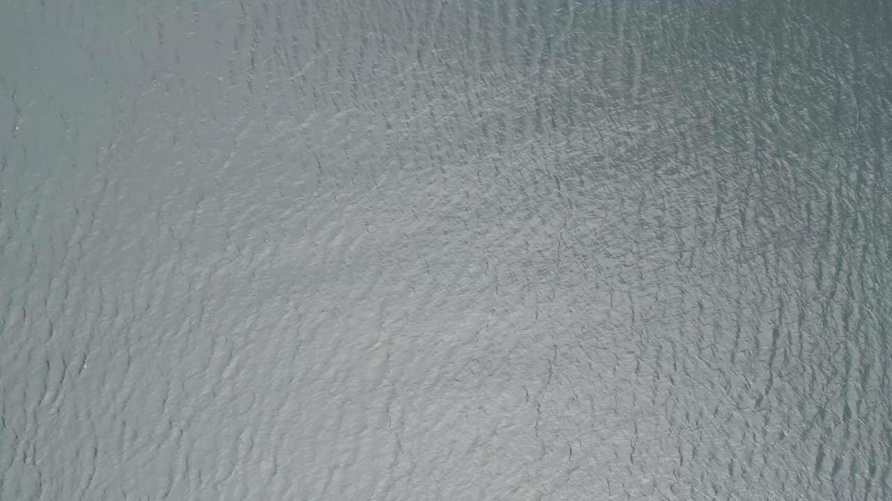 노르웨이 바다에서 파도 위를 날다