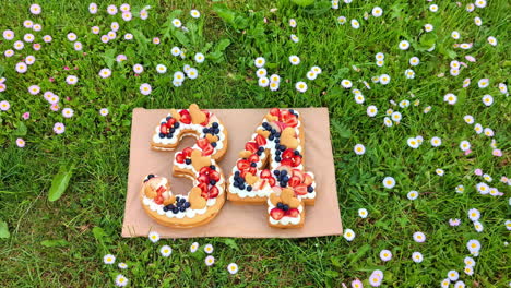 Close-up-of-a-fruit-cake,-in-form-of-the-number-34,-laying-on-a-green-meadow-with-white-flowers,-sunny-day-and-slow-motion-with-copy-space