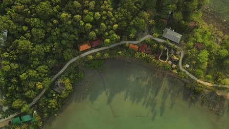 Toma-Aérea-Giratoria-De-Arriba-Hacia-Abajo-De-Palmeras-Y-Sombras-A-Lo-Largo-De-La-Costa-De-Koh-Chang,-Tailandia