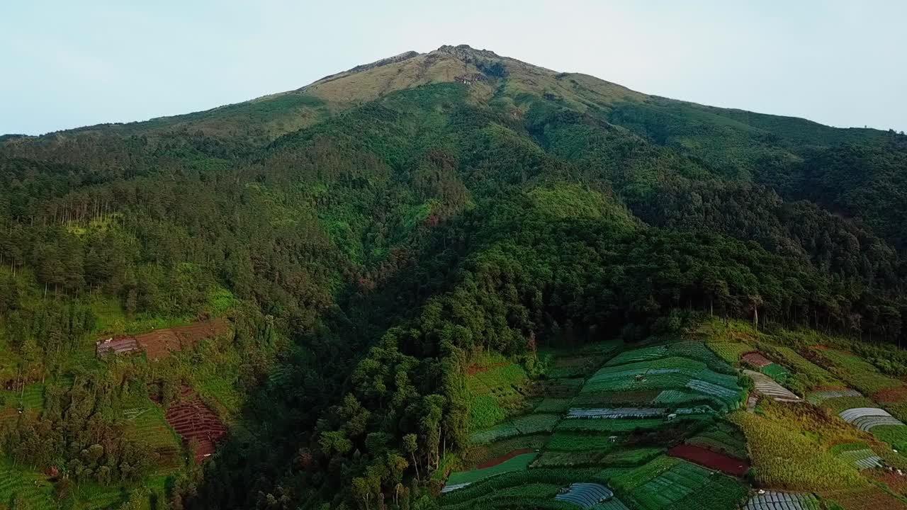 video de drones de la ladera de la montaña con plantaciones de vegetales y bosques, deforestación en la ladera de la montaña - montaña sumergida, indonesia