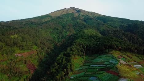 drone-video-of-slope-of-mountain-with-vegetable-plantations-and-forest,-deforestation-on-slope-of-mountain---Sumbing-Mountain,-Indonesia