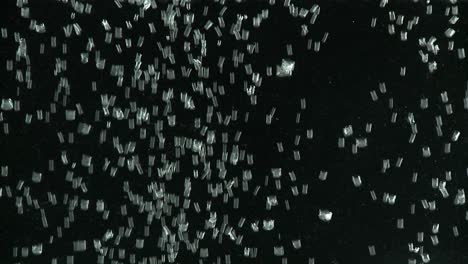 tiny air bubbles rise in water against a black back ground