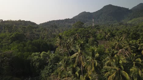 fast rising aerial tilt down above the green rainforest island of koh chang, thailand