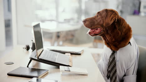 dog dressed as a businessman working at a desk
