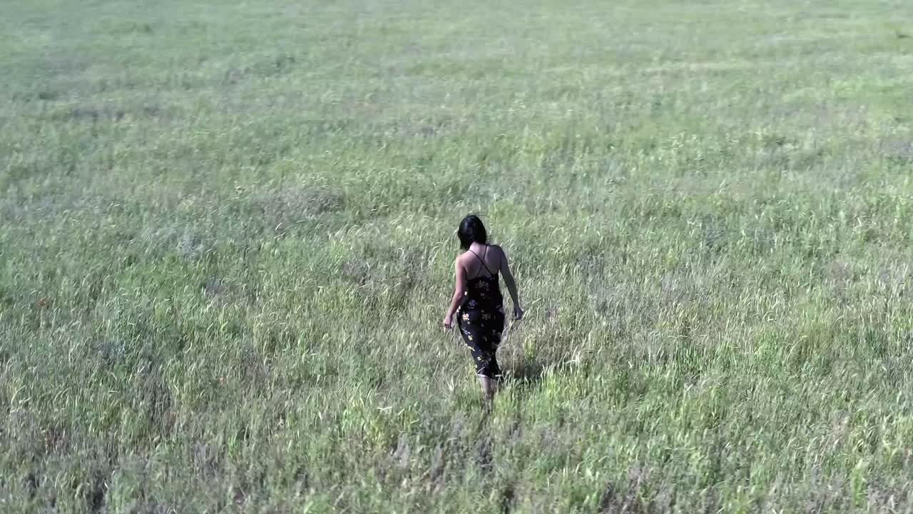 Woman in dress walking in field, countryside sunny and windy day, aerial view