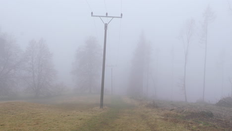 un camino forestal en la niebla a través del cual pasan los postes de energía