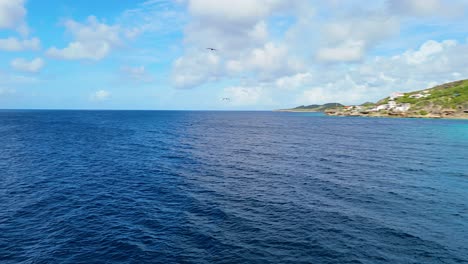 Piqueros-Marrones-Y-Fragatas-Se-Elevan-En-Los-Cielos-Sobre-La-Zona-De-Descenso-De-Arrecifes-De-Coral-En-El-Caribe,-Aéreo