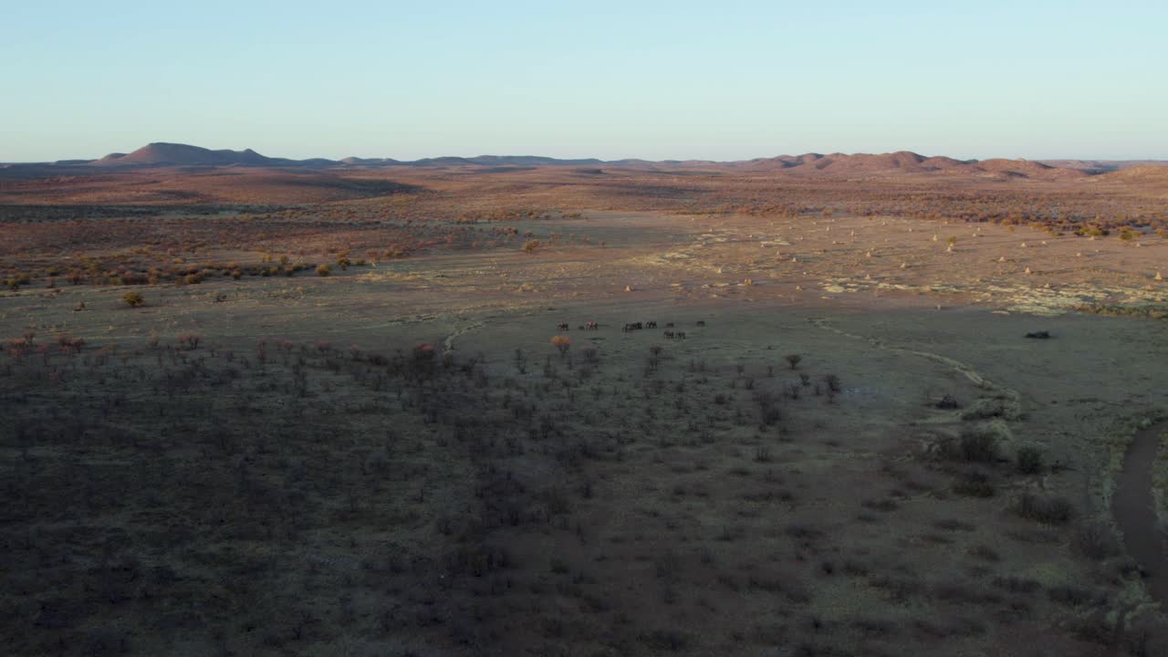 manada de elefantes en el parque nacional eotsha en namibia, áfrica - enfoque aéreo