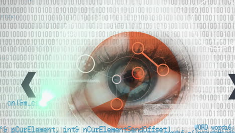 animation of network of digital icons with binary coding processing over woman's eye in background