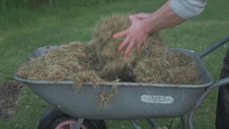 young man throwing hay from wheelbarrow onto raised bed