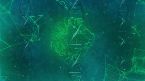 DNA-Strang-Und-Globus-Mit-Netzwerkverbindungen-Animation-Auf-Blauem-Hintergrund