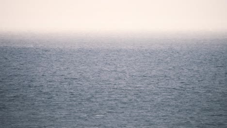 spouts of water spray from exhaling whales above hazy ocean waters