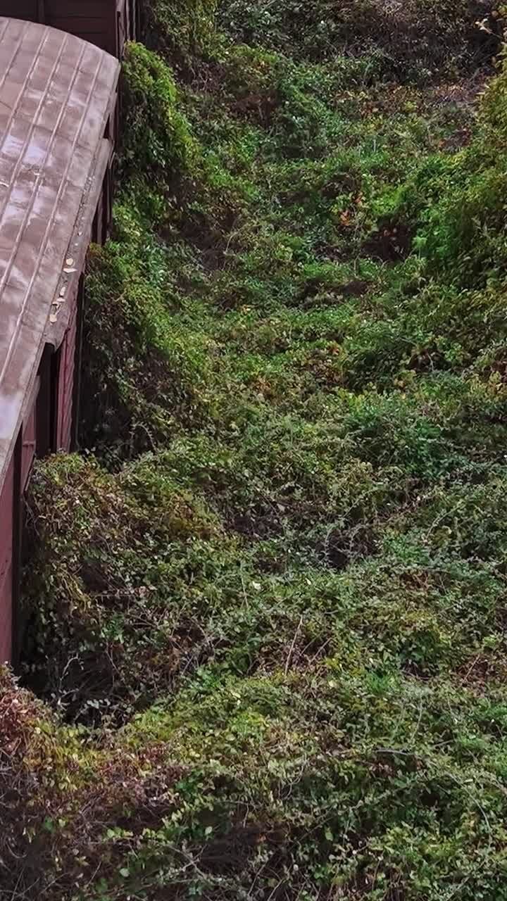 Train cars covered in plants in an abandoned place in Greece