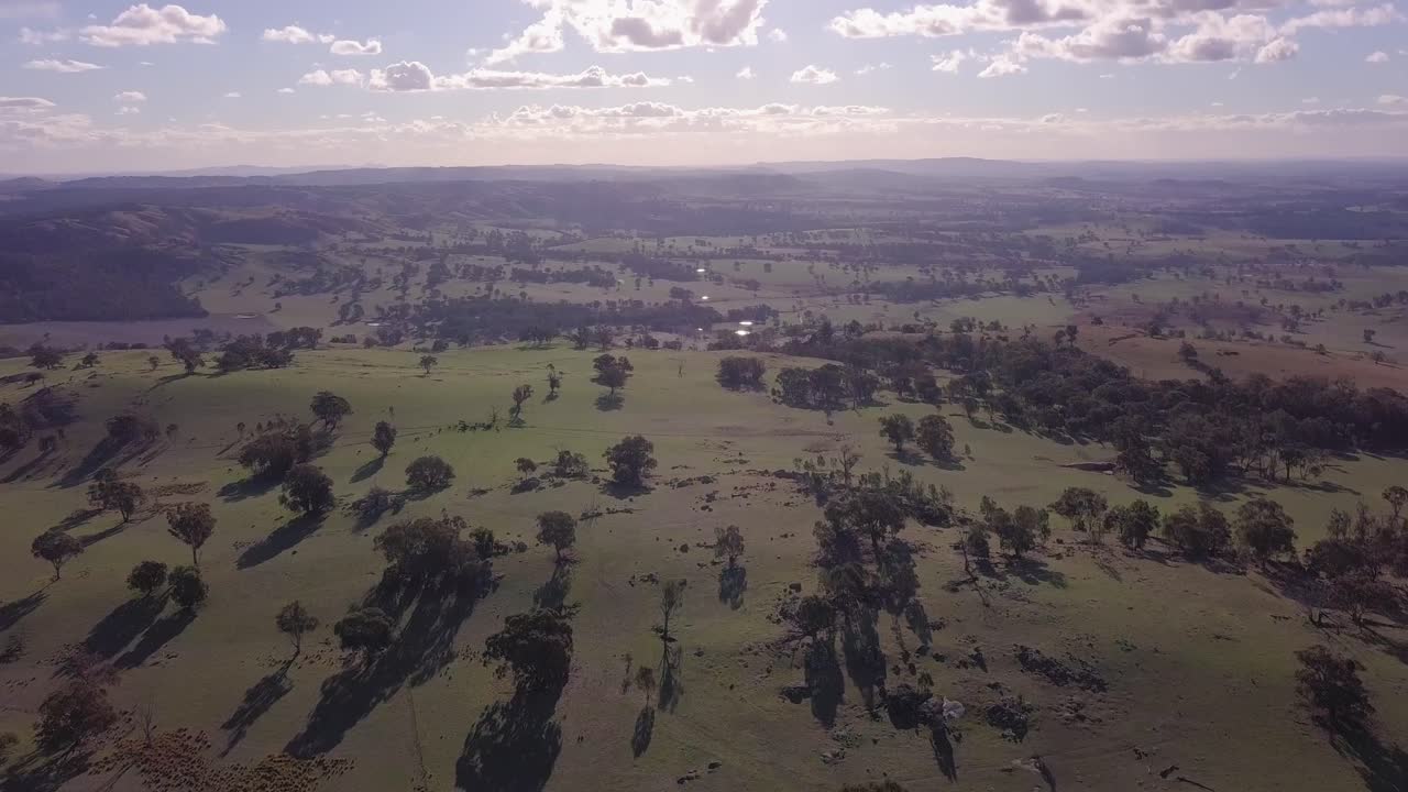 Volo aereo sopra una foresta in Australia con sole e nuvole sullo sfondo, ripresa da lontano che sale mentre inclina verso il basso