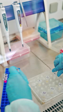 hands in sterile gloves working with test tubes. medical worker fills vials with liquid on the table in the laboratory. vertical video