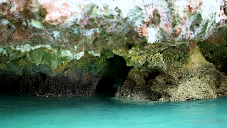 turquoise waters meet rugged limestone formations