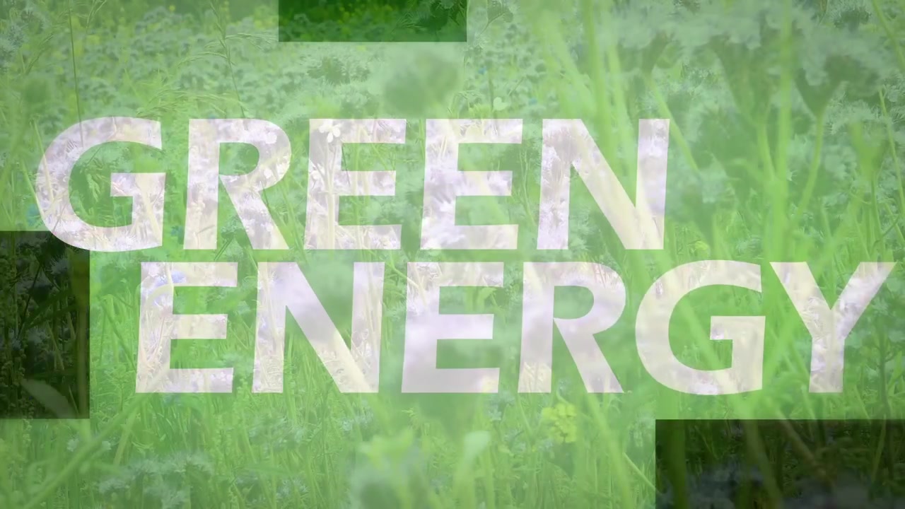 Sovrapposizione di testo "Energia Verde" su un prato di fiori selvatici.