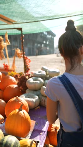 woman choosing pumpkins at an outdoor market