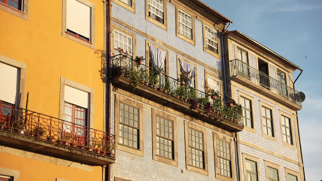 Traditional Porto townhouses with azulejo tiles in golden hour light