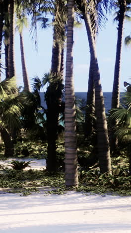 beautiful tropical beach with palm trees and ocean