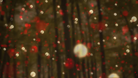 animation of white and red christmas flickering spots over forest in background