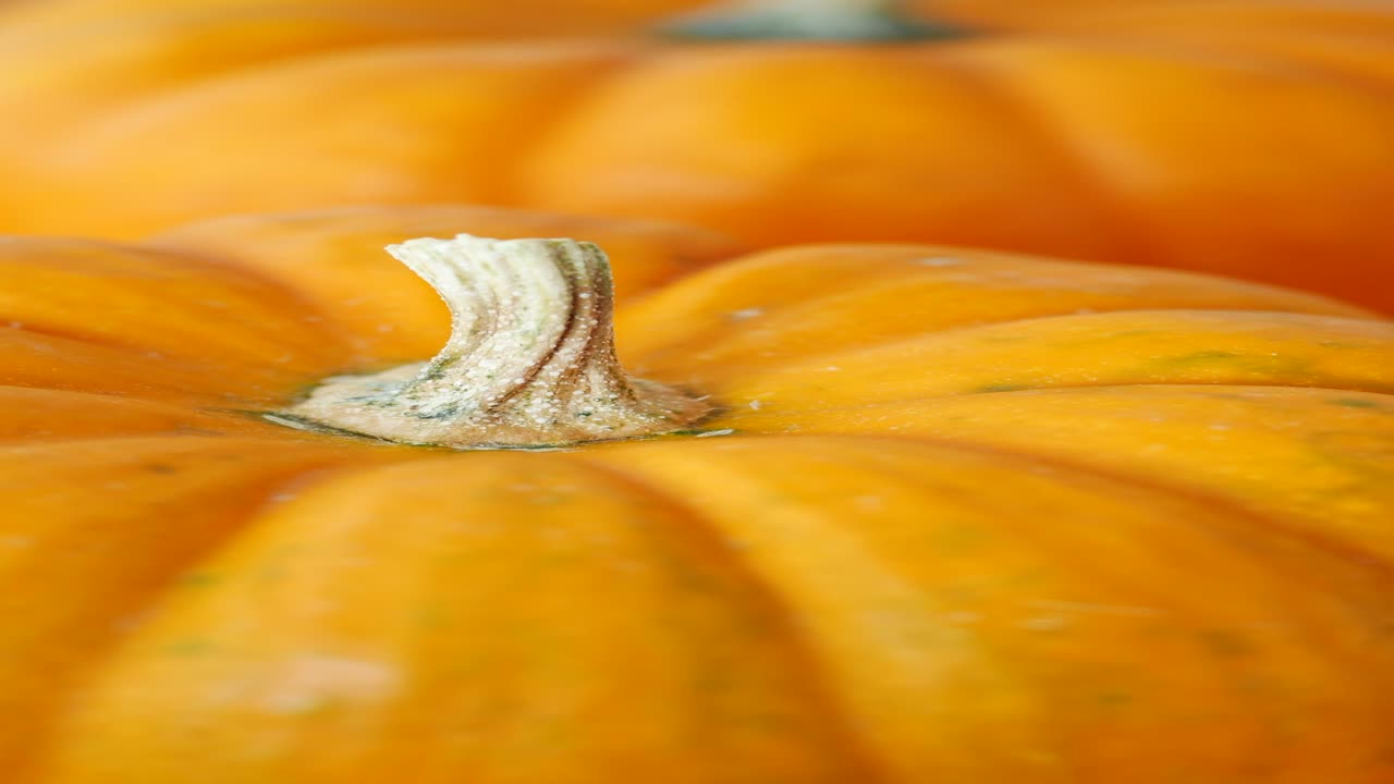 두 개의 작은 호박의 클로즈업