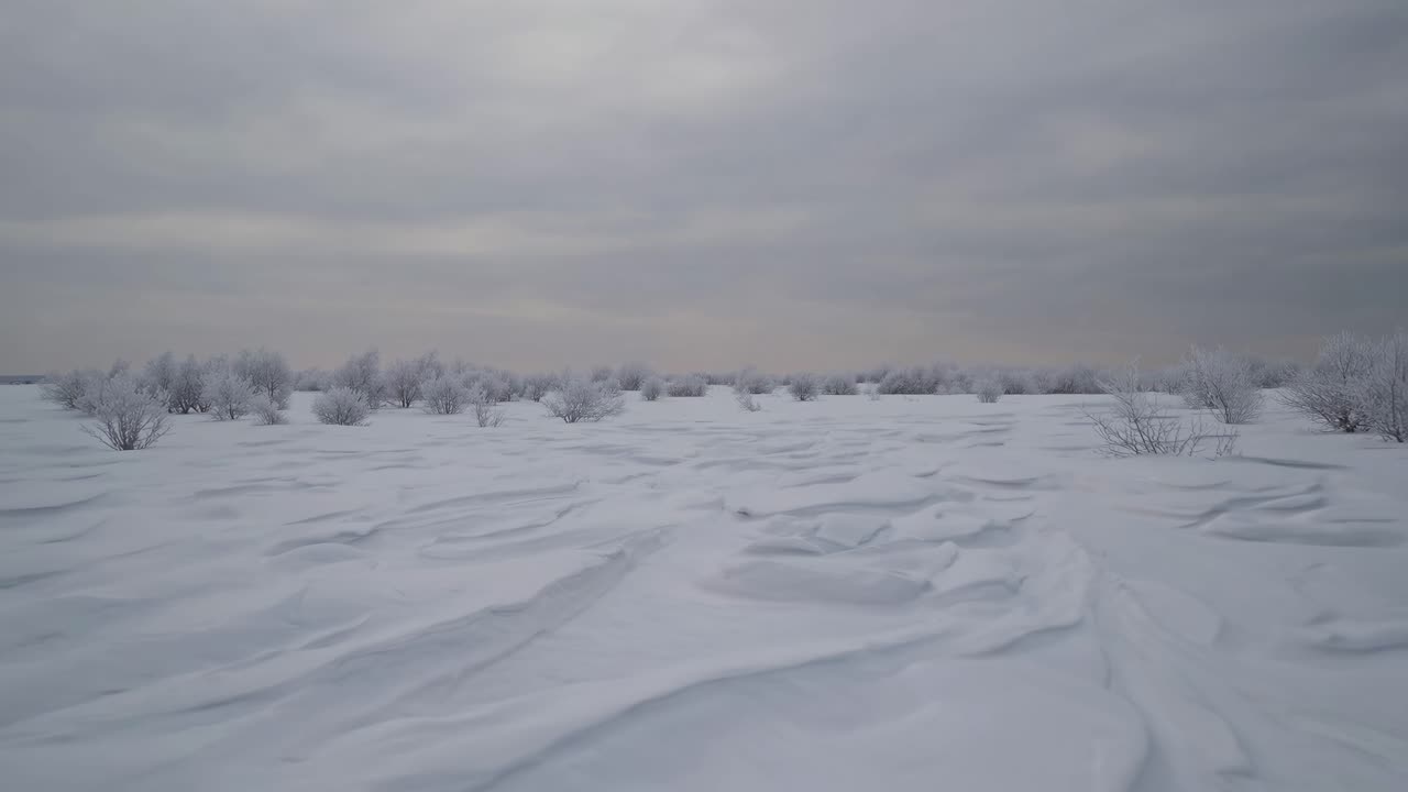 A wide-angle video captures a serene, snow-covered landscape with frosty trees under a cloudy sky