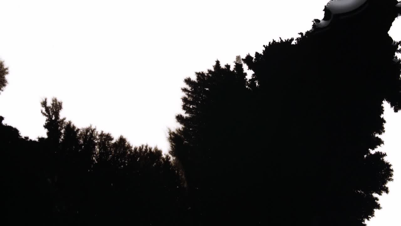 Black Ink Drops On White Background