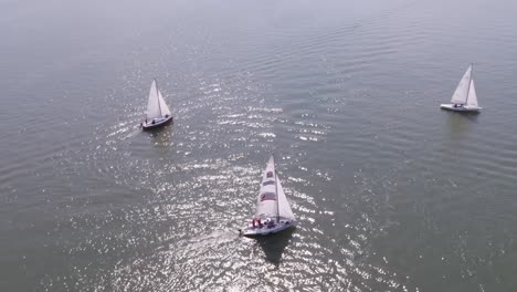 sailboats on the water