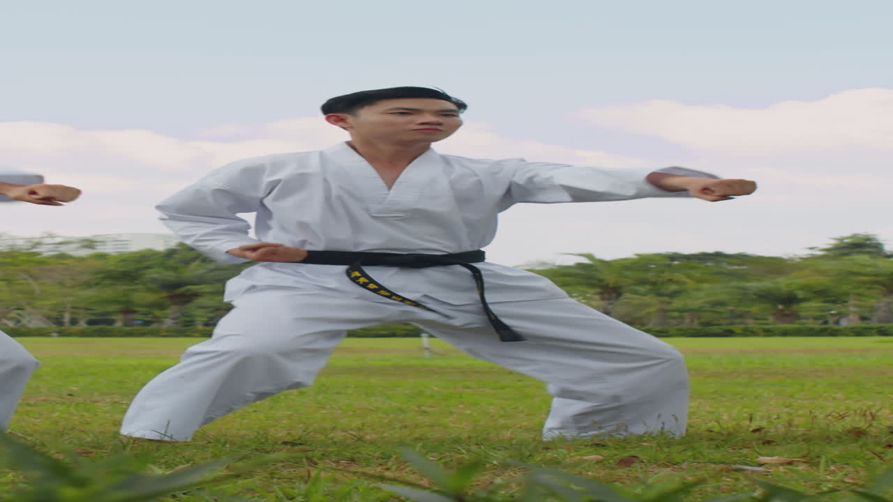 Asian Sportsman Practicing Taekwondo Punches in Park