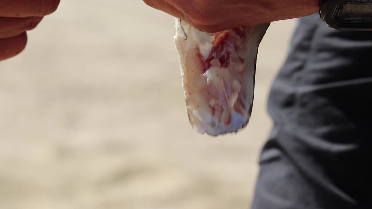 tirando de la piel de un pez