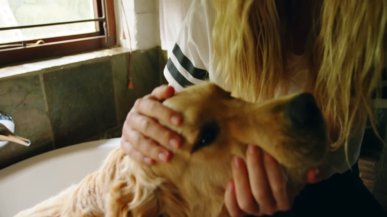 집 의 화장실 에서 개 를  ⁇ 는 여자 4k