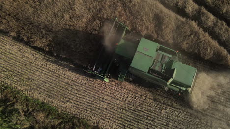 closeup of a huge green combine harvester cutting wheat crops