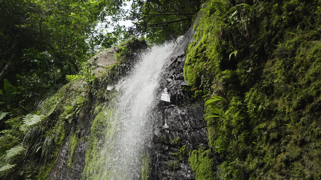 fotografía en cámara lenta de una cascada en la jungla puertorriqueña