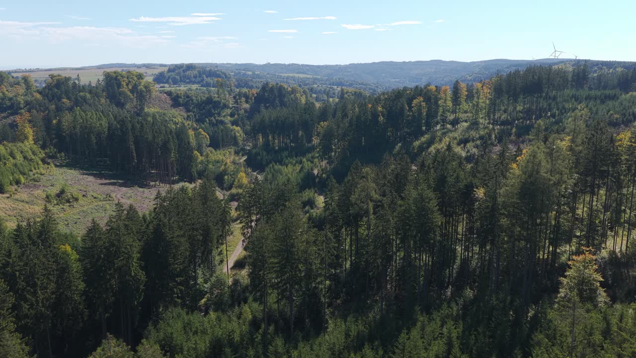 Landscape of the Czech Republic from an aerial view of a mixed forest in the daytime in autumn. Beautiful nature