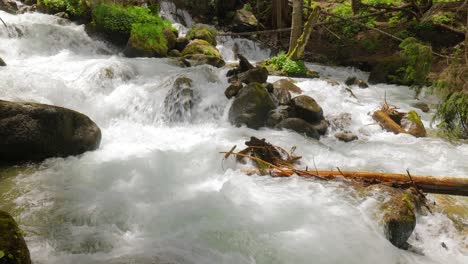 Río-De-Montaña-En-El-Bosque.-Hermoso-Paisaje-De-Vida-Silvestre.