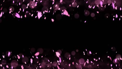colorful bright petals swinging in spring background with sun flares. beautiful nature scene. illustration cherry blossom petals. abstract spring graphic. loop animation.