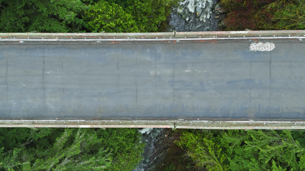 다리에 있는 강과 상록 숲을 담은 4k 드론 영상