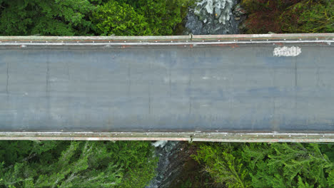 imágenes de drones en 4k con el río y el bosque perenne en el puente