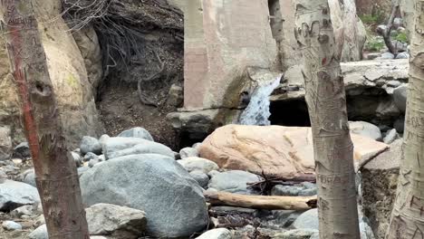 Eaton-Canyon-Nature-Preserve-in-Pasadena,-California---slow-motion-view-of-the-creek-from-the-hiking-trail