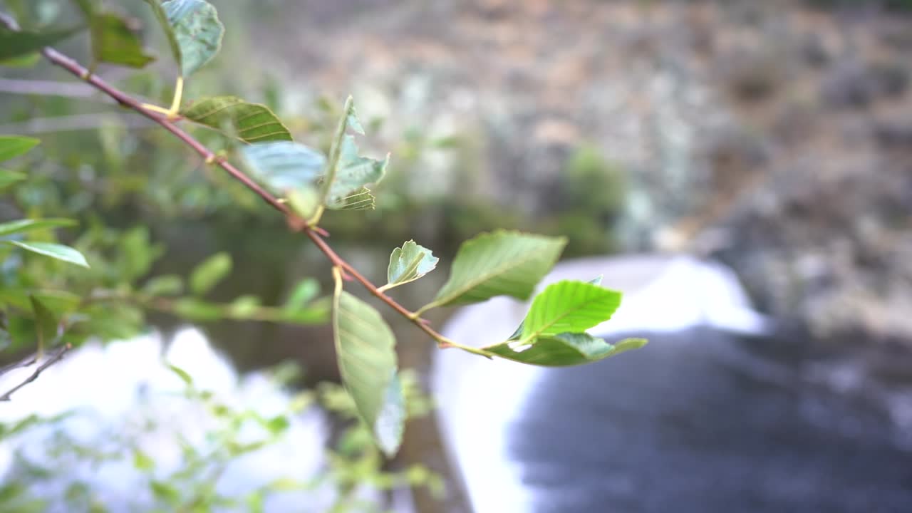 무거운 물이 흐르는 댐