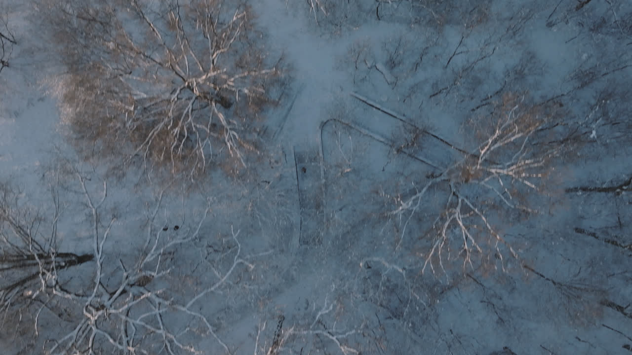 Aerial view of Brooklyn's Prospect Park on a winter day. Shot during golden hour in New York City