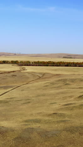 autumnal dry plains landscape