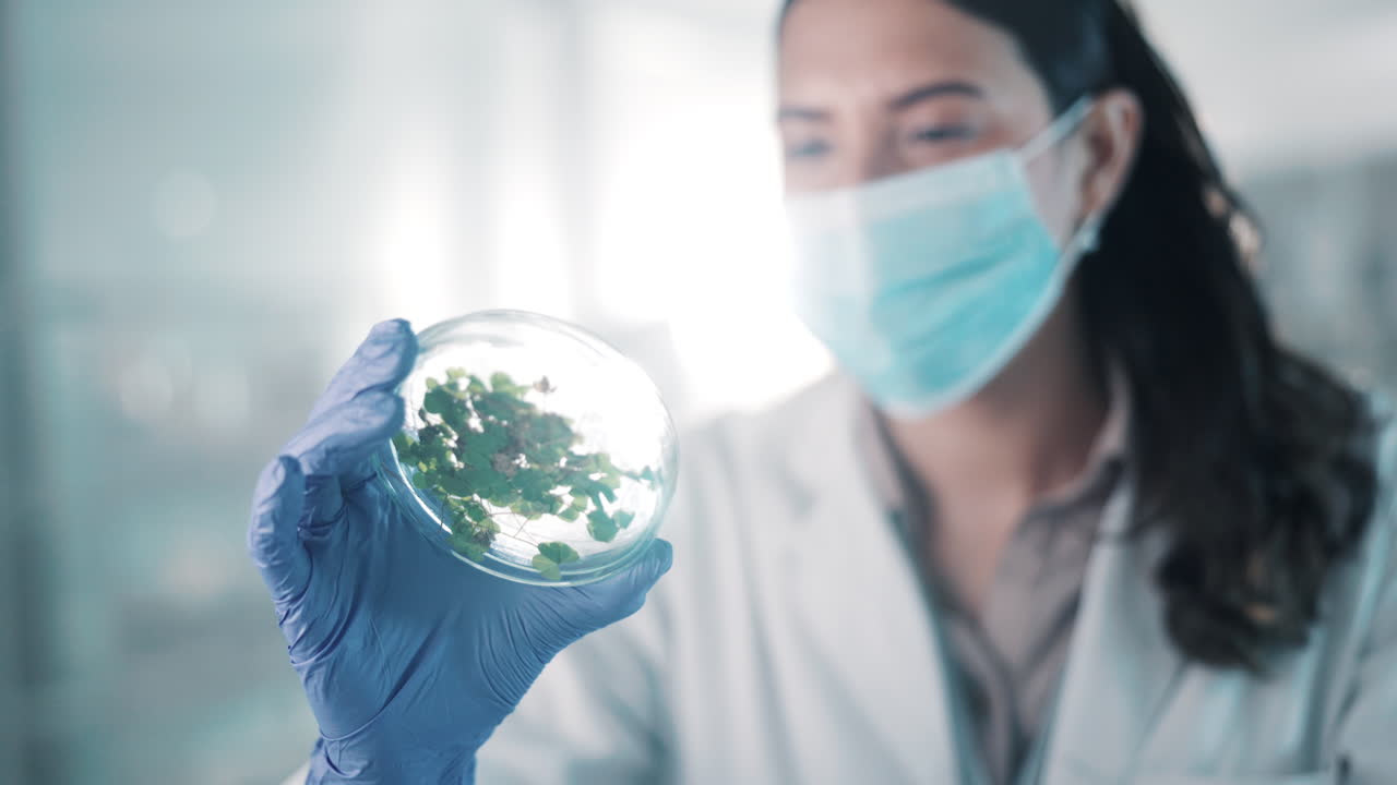 máscara facial, científico o mujer con investigación de plantas