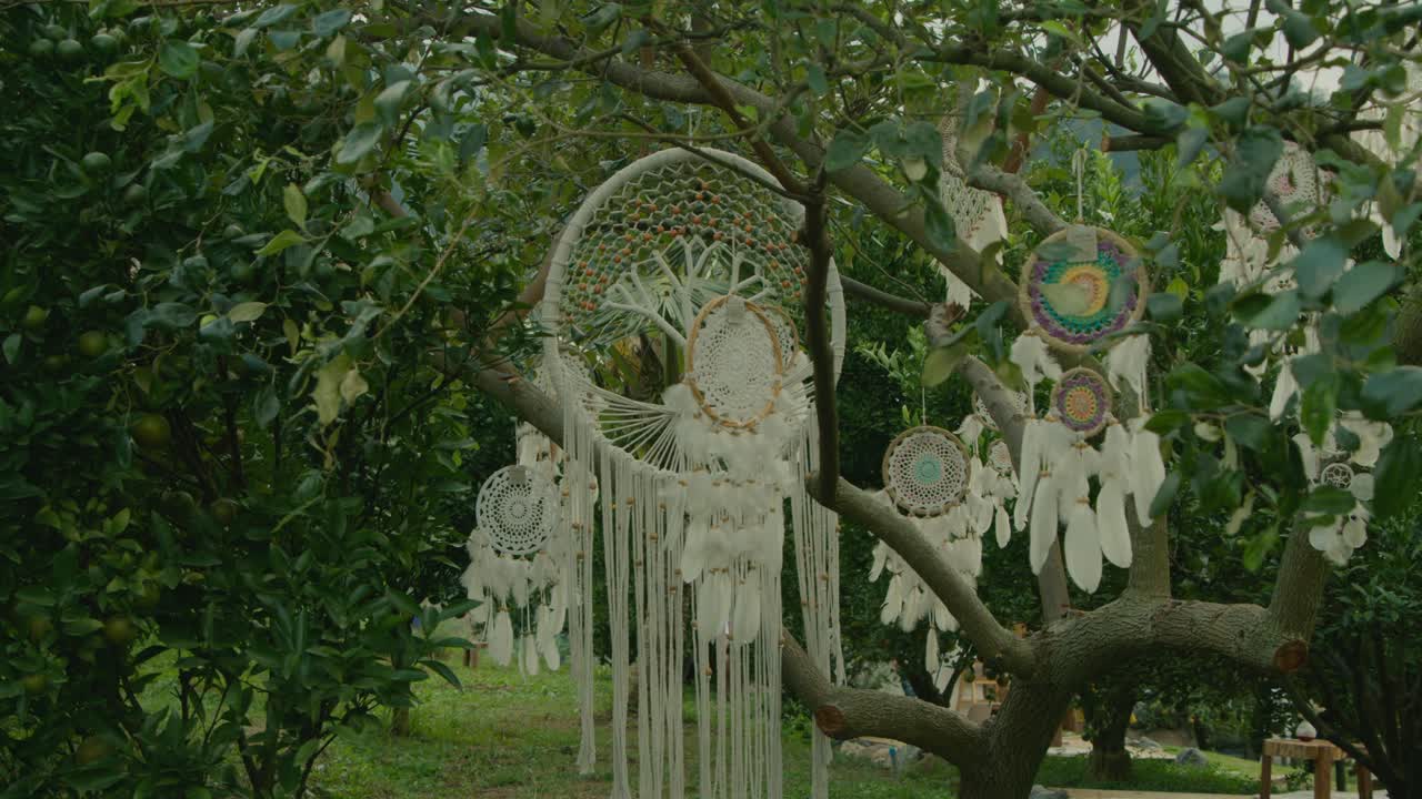 Dream Catchers Hanging from Trees in a Garden