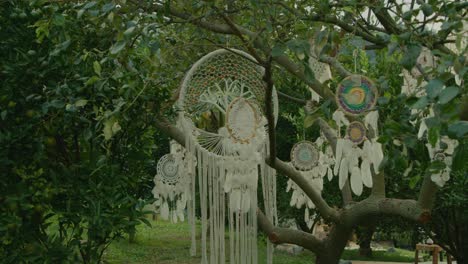 dream catchers hanging from trees in a garden