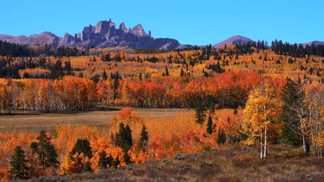 fall autumn auburn full peak colors castle mountain ohio kebler swampy pass crested butte colorado aspen trees gunnison national forest morning sunny blue sky wind hunting farmland static shot