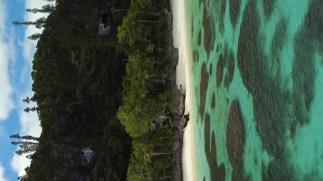 Vista aerea: splendida spiaggia appartata sull'isola di Maré, Isole della Lealtà, Nuova Caledonia