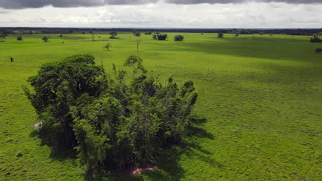 Kolumbien-östliche-Ebene---Llanos-Orientales-18